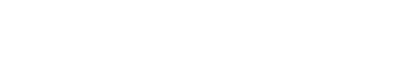 DIRECTORS - Meksiko
